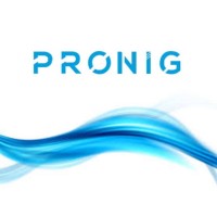 PRONIG, Stainless Steel Products and Engineering logo - Similar company to Letina - Stainless Steel Technology