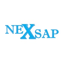 NexSAP Solutions logo - Similar company to Optiwisers
