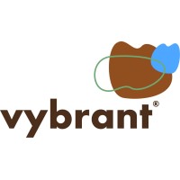 Vybrant logo - Similar company to Vibers