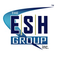theESHgroup, Inc. logo - Similar company to Rcb Llc