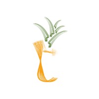 Pineapple Culture logo - Similar company to Passion Tree