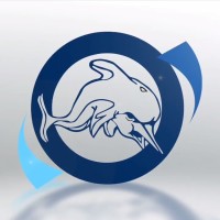 Grupo Delfin logo - Similar company to Auto & Ilusion Sl