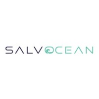 SalvOcean logo - Similar company to Art Business Group Ltd.
