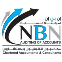 NBN Auditing of Accounts logo - Similar company to Dots Information Systems