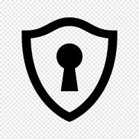 DL logo - Similar company to Networkers International