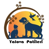 Yalova Patileri Derneği logo - Similar company to Kent 77