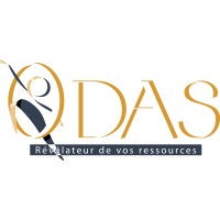 Outsourcing of Data Analyst and Scientist logo - Similar company to D+D Consulting