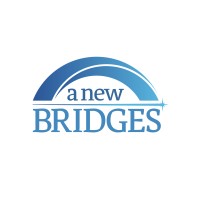 A New Bridges logo - Similar company to Ae