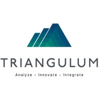 TRIANGULUM logo - Similar company to Transformnations