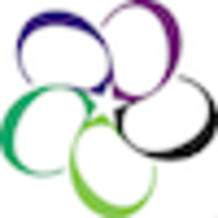 Public Strategies Group