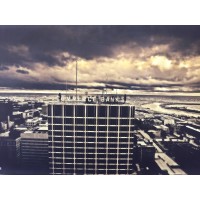 Ari Financial Services, Inc.