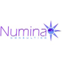 Numina Consulting Ltd