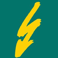 BS Wyss Elektro AG logo - Similar company to The Analytics Show