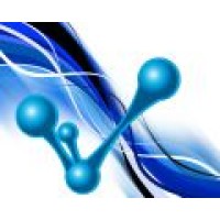 Interactive Vision Solutions, LLC