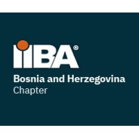 IIBA Bosnia and Herzegovina Chapter logo - Similar company to D&D Consulting Services