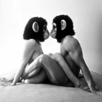 @monkeysworkout - Distribuidor Independiente Herbalife logo - Similar company to Mihdu