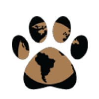 HachiMedia logo - Similar company to Nayan Leadership, Llc