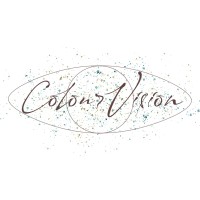 Colour Vision logo - Similar company to Flow Comptech Solutions Llp