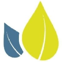 Suffolk GP Federation logo - Similar company to Healthwatch Suffolk C.I.C.