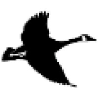 Goose Creek Apps Llc