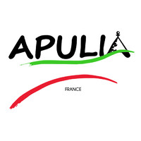 APULIA IMPORT EXPORT logo - Similar company to Pulsera Distribution