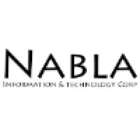 Nabla BI logo - Similar company to Belogical