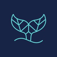 Phin logo - Similar company to Future | Future