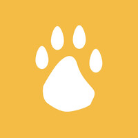 This and That Canine Co. logo - Similar company to Leave Pet Alone