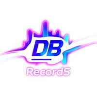 DBRecordS logo - Similar company to Asero Logistics B.V.