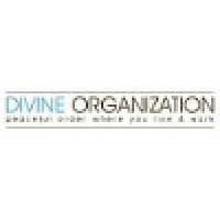 Divine Organization, LLC logo - Similar company to Excelvate Systems Private Limited