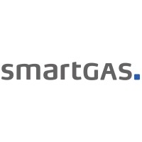 smartGAS Mikrosensorik GmbH logo - Similar company to Wi.Tec Sensorik Gmbh