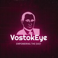 VostokEye logo - Similar company to Jay Infotech