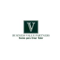 BUSINESS VALUE PARTNERS LLC logo - Similar company to Stackcurve