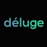 Déluge logo - Similar company to Deluge