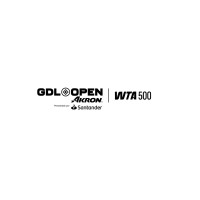 GDL OPEN AKRON Presentado por Santander logo - Similar company to Holii 3D