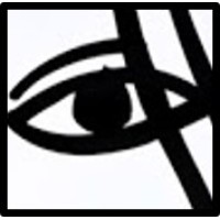 Anfer Ventures logo - Similar company to Honest Operations