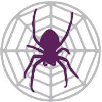 Spider Project Team logo - Similar company to Spider Project