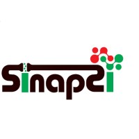 SINAPSI S.r.l. logo - Similar company to Rb Srl