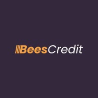 Bees Credit Kenya Limited logo - Similar company to Write Life Kenya