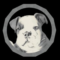 The Boston Realty Group logo - Similar company to The Goodrich Team | Compass