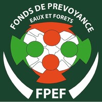 FPEFCI logo - Similar company to Global Challenge Corporation-Ci