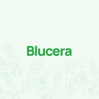 Blucera logo - Similar company to Learngual