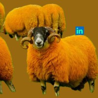 Stand-Out Content logo - Similar company to Be You. Podcast