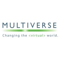 Multiverse Networks