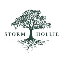 Storm Hollie logo - Similar company to Hearing Matters (Maidstone) Ltd