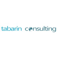 Tabarin Consulting logo - Similar company to Eamg Capital