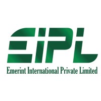 Emerint International logo - Similar company to Unified Technology Solutions (Uts)