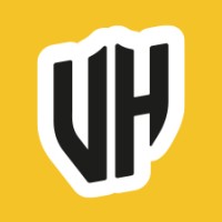 Virtuele Helden logo - Similar company to Number Foundation