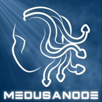 MedusaNode logo - Similar company to Alias S.R.L.