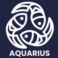 Aquarius.sto logo - Similar company to Devocean Inc.